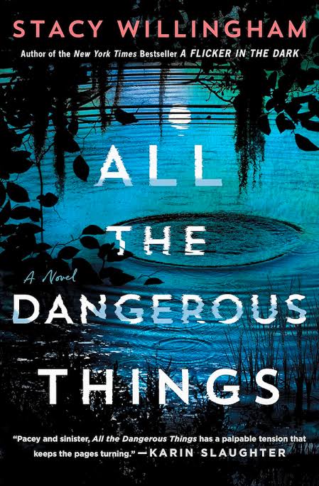 Mystery book cover 4